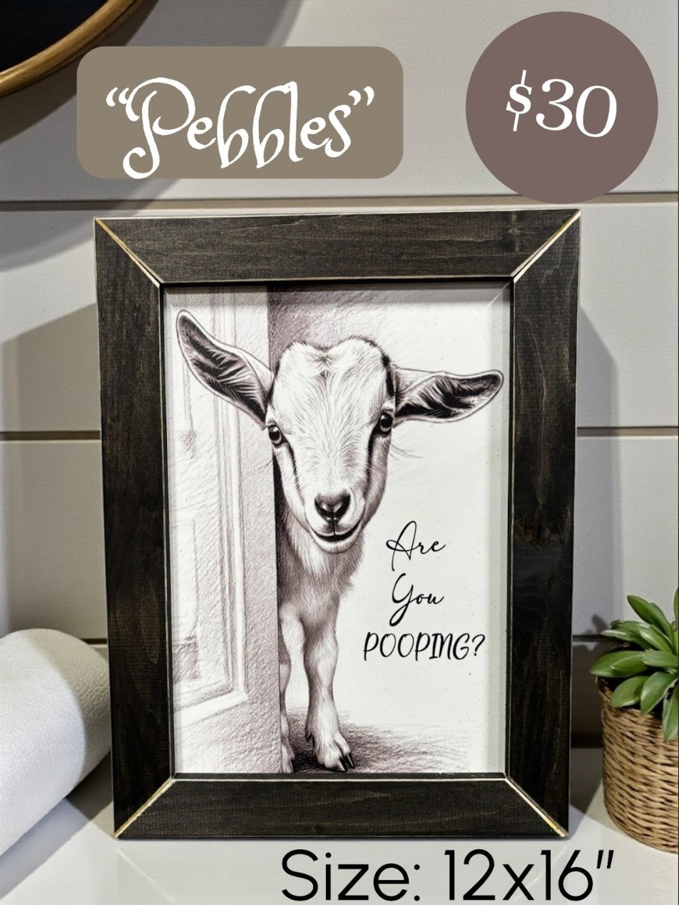 Framed SFF Goat Art