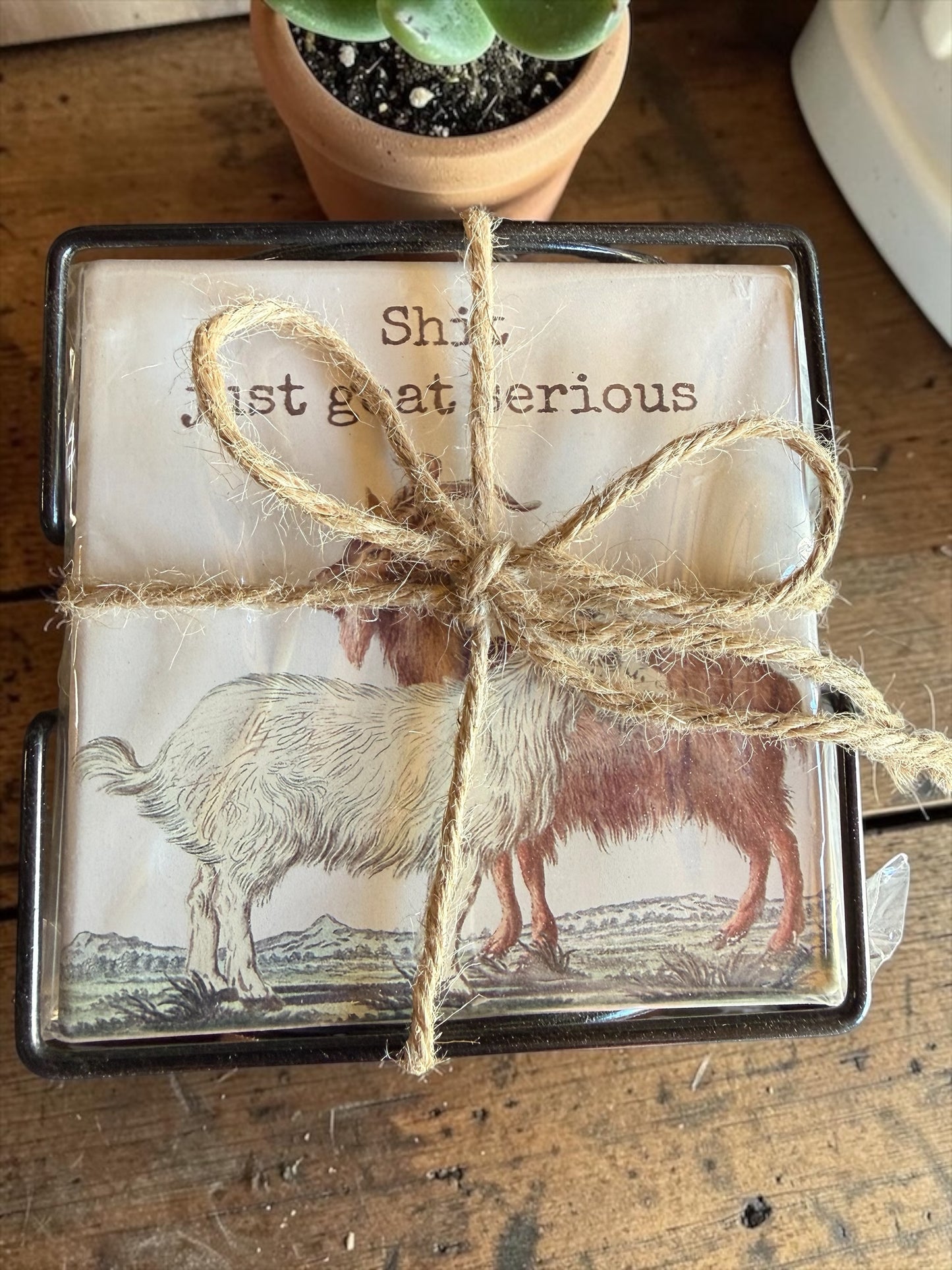 Goat Coasters