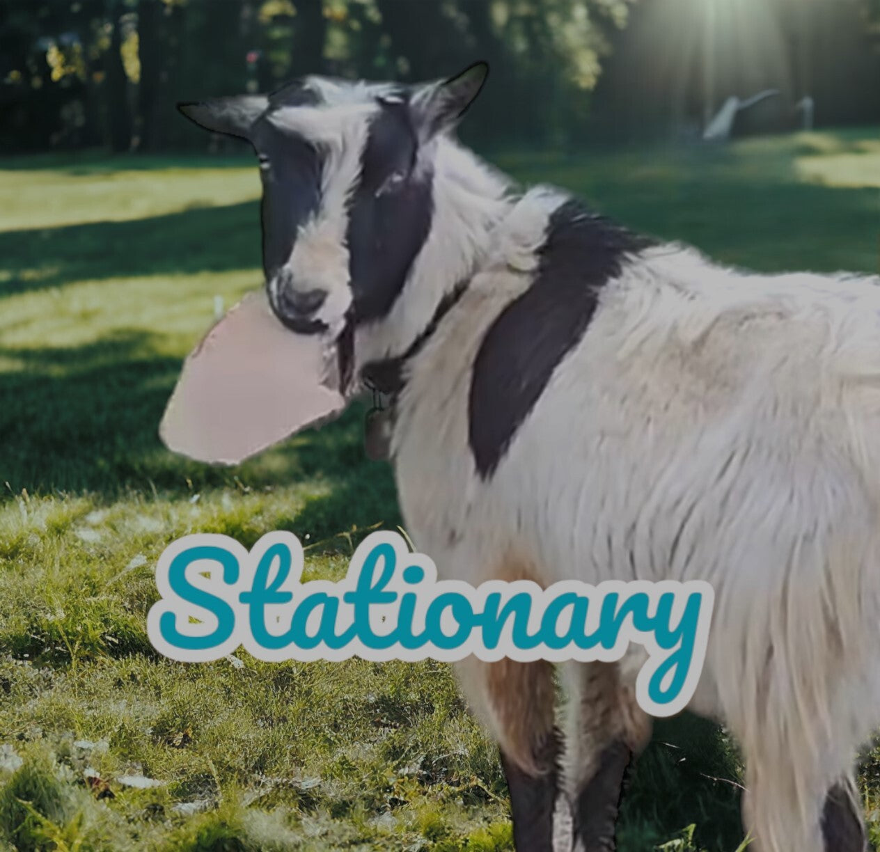 Stationary