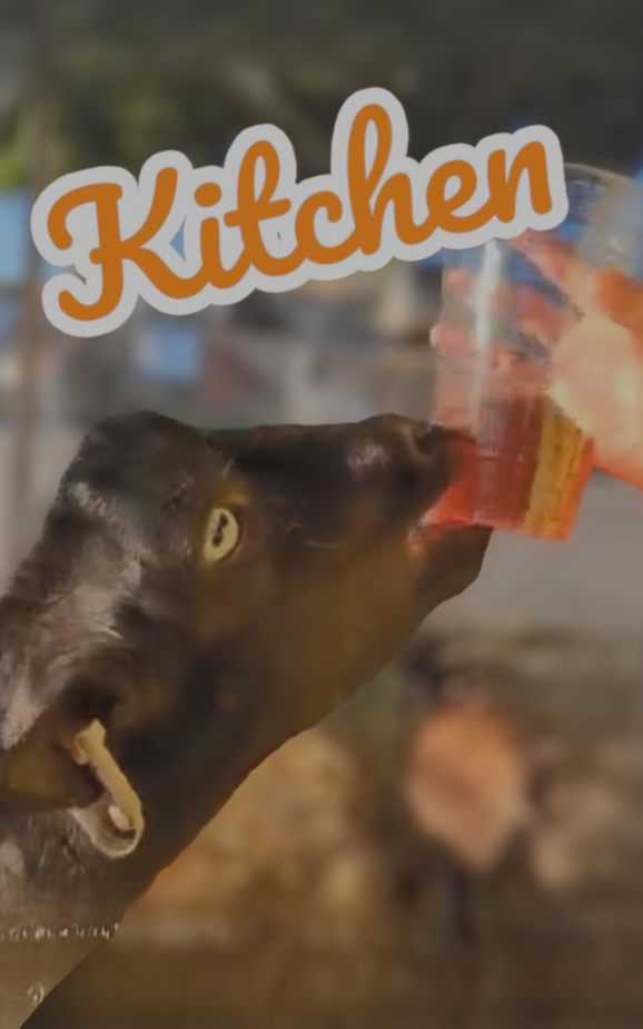 Kitchen Items
