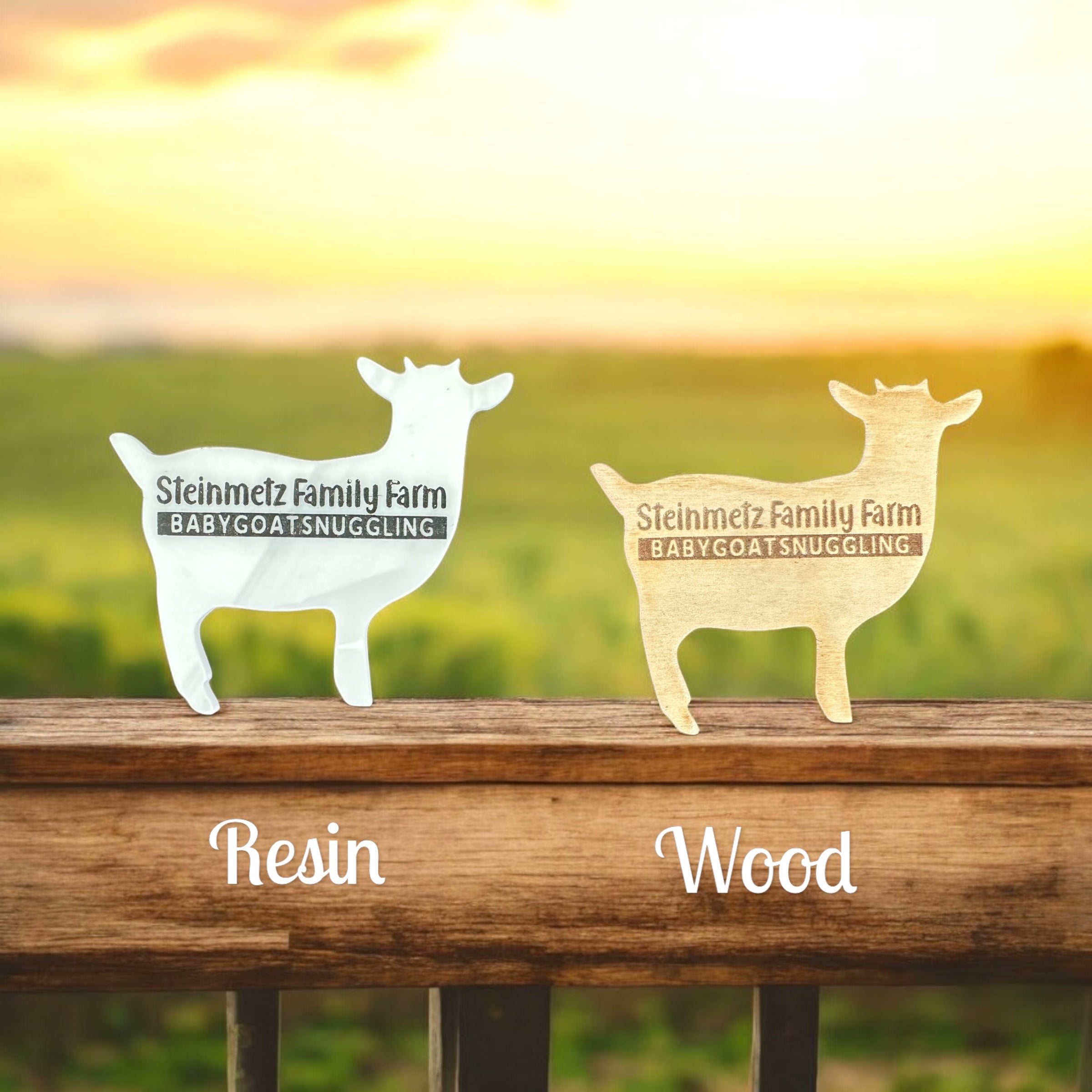 SFF Goat Magnet – Steinmetz Family Farm