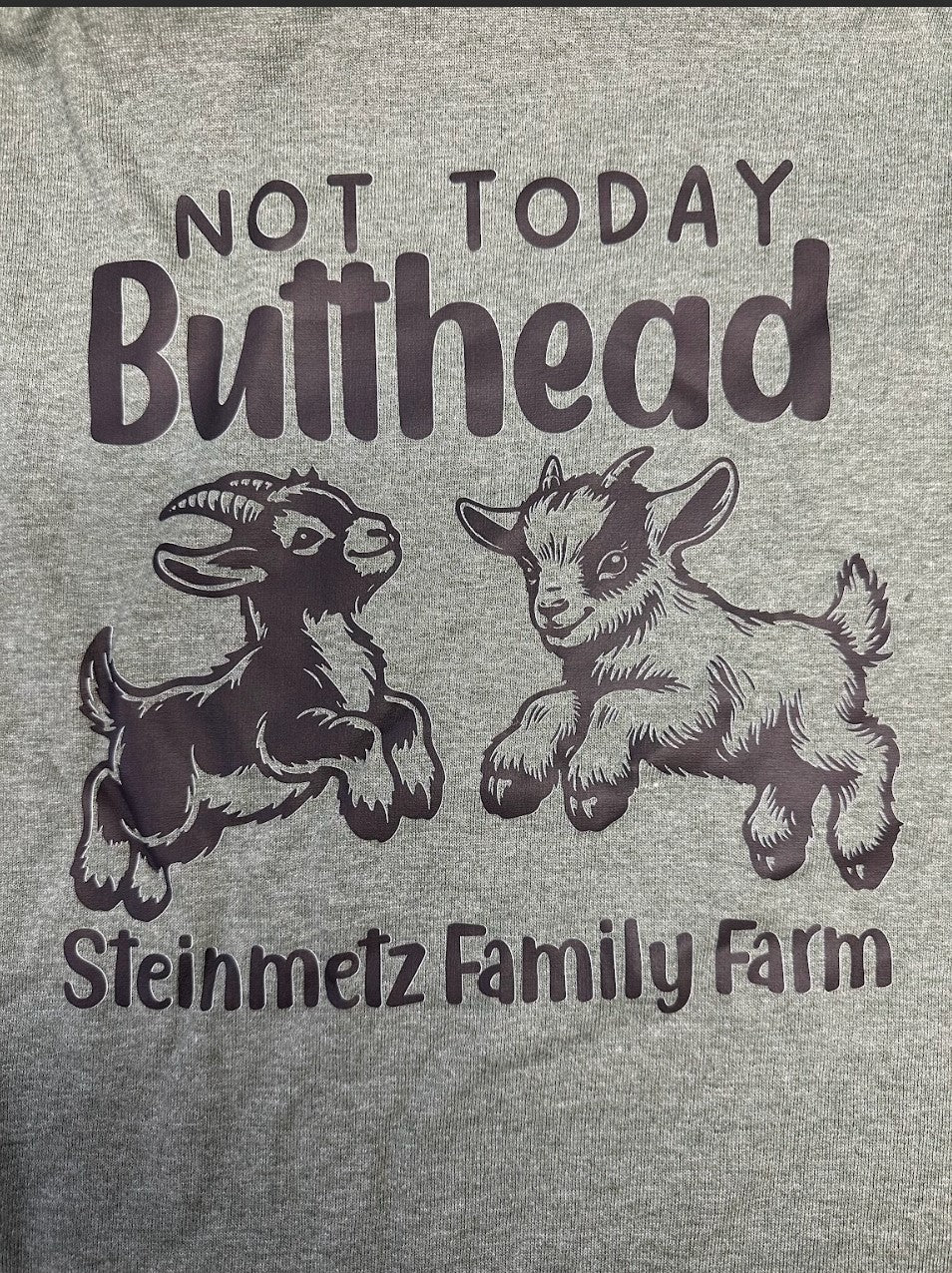 Not Today Butthead Adult Short Sleeve Shirt