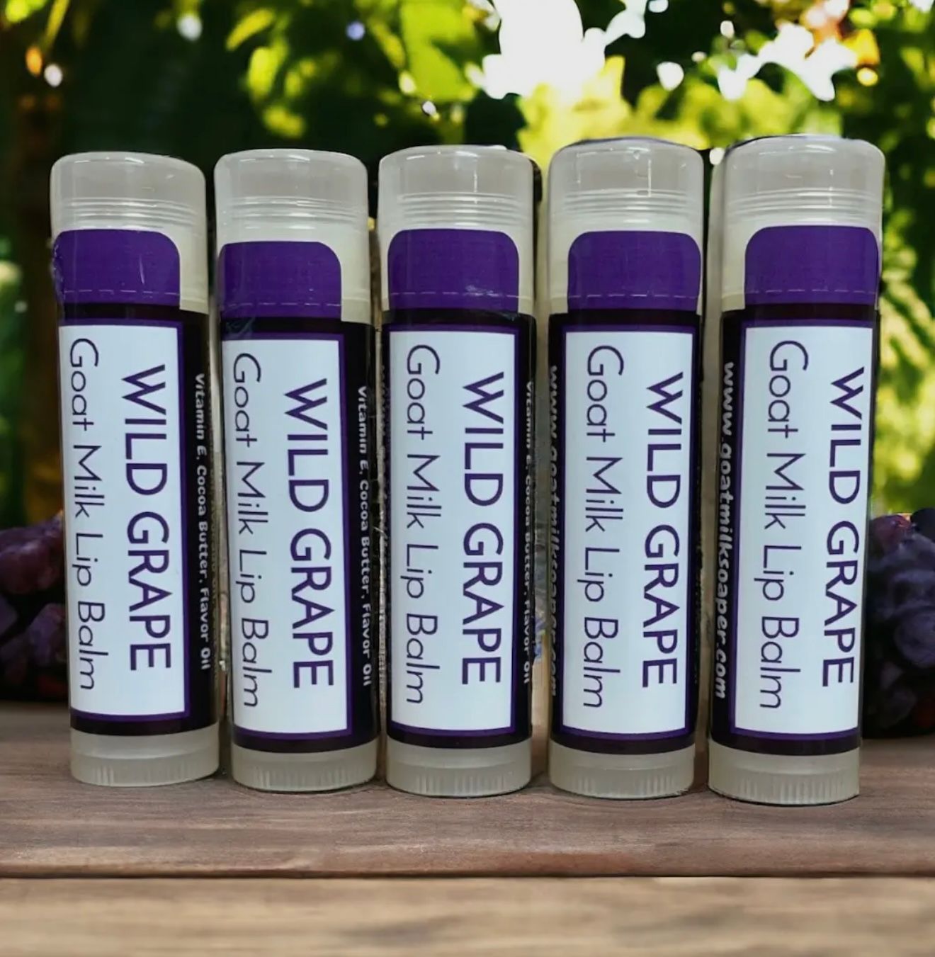 Goat Milk Chapstick