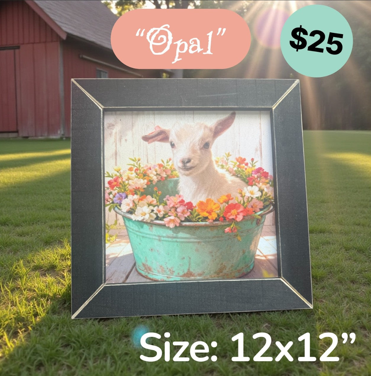 Framed SFF Goat Art