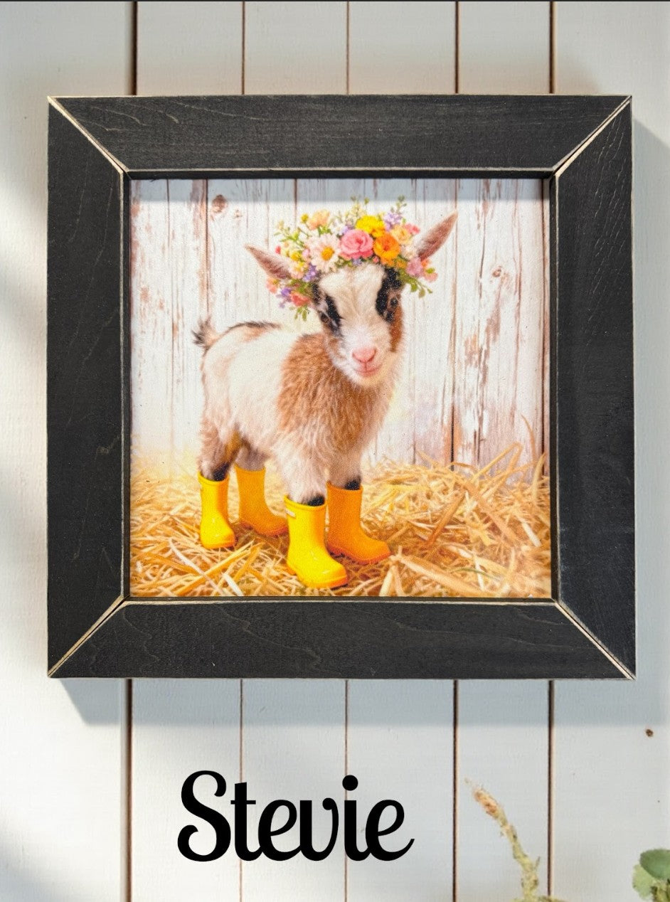 Framed SFF Goat Art