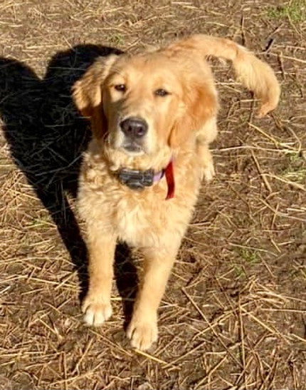 Maisy Mae